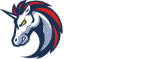 1inch